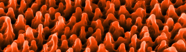 nano structures on Titanium